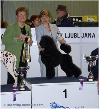 Emil_JuniorBIS1st_Ljubljana10_Sat_03.jpg