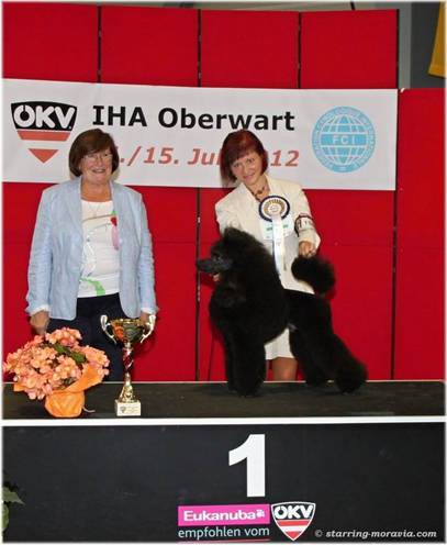 Erik_JBIS1_Oberwart12.jpg