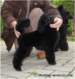 Fly_11weeks_02.jpg