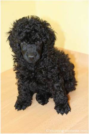 web_I-litter_42days_12.jpg