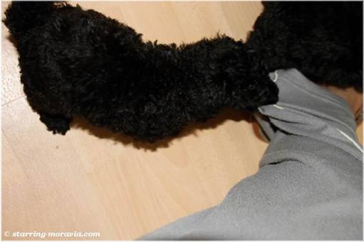 web_I-litter_38days_15.jpg