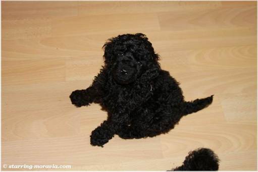 web_I-litter_38days_10.jpg