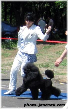Rocco jr._Speciality Belgrade09_1_web.jpg