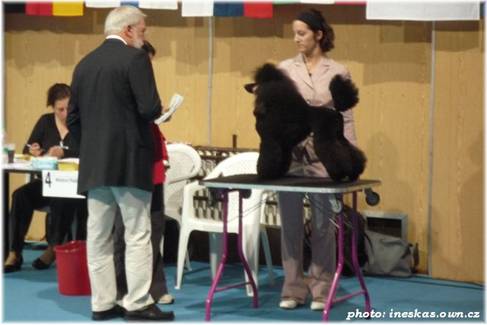 Aristo_REC Blava09.jpg