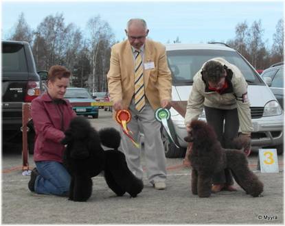 Aslan_Rauma12.jpg