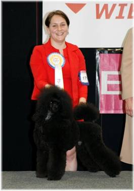 Wieselburg12_Leo_BIG2.jpg
