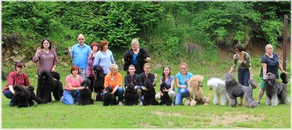 Grooming_June13_group.jpg