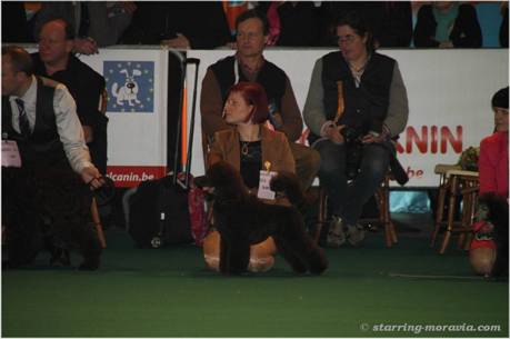 web_Karoline_Kortrijk13(Sat).jpg