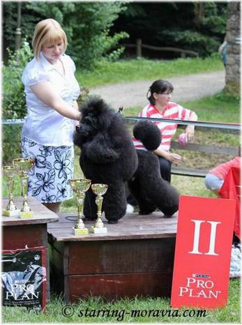 Sremski Karlovci10_49.jpg