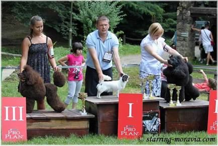 Sremski Karlovci10_44.jpg