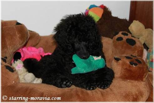 Resize of Resize of IMG_2194.JPG